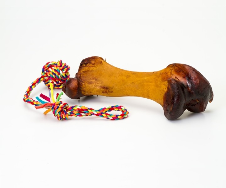 Ostrich Femur
