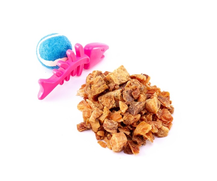 Freeze-dried Fish