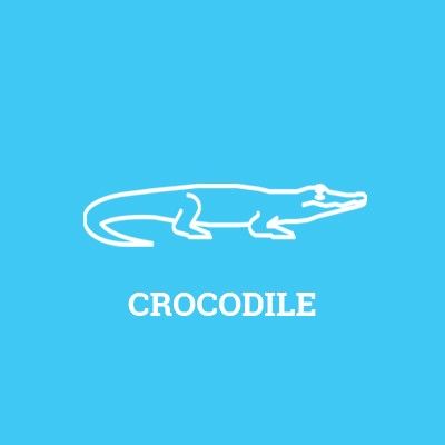 Crocodile Crocodile