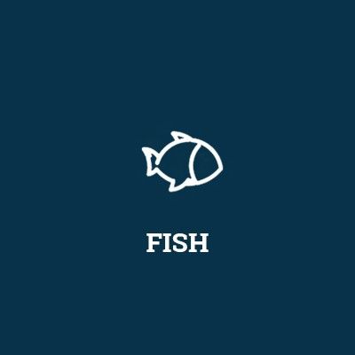 Fish Fish