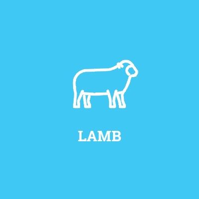 Lamb Lamb